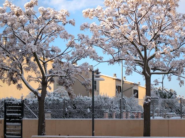 Ola de frío en Mallorca