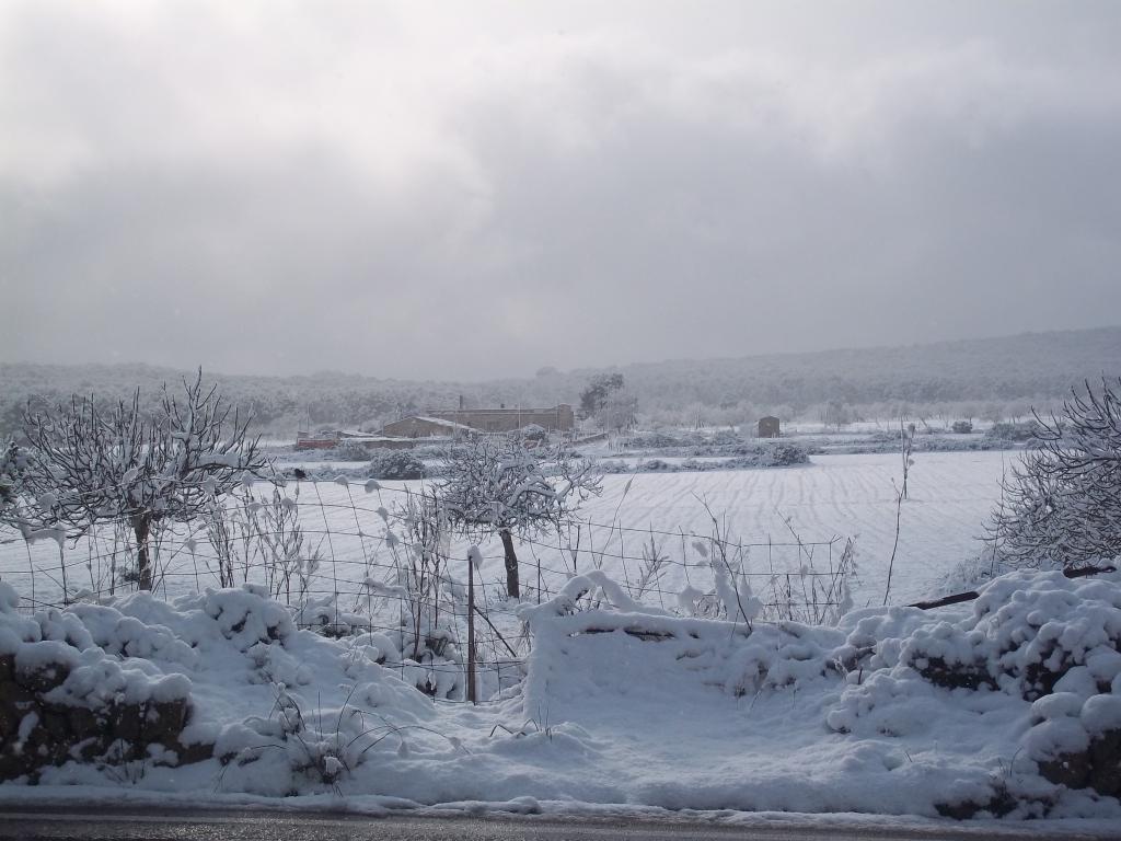 Nieve