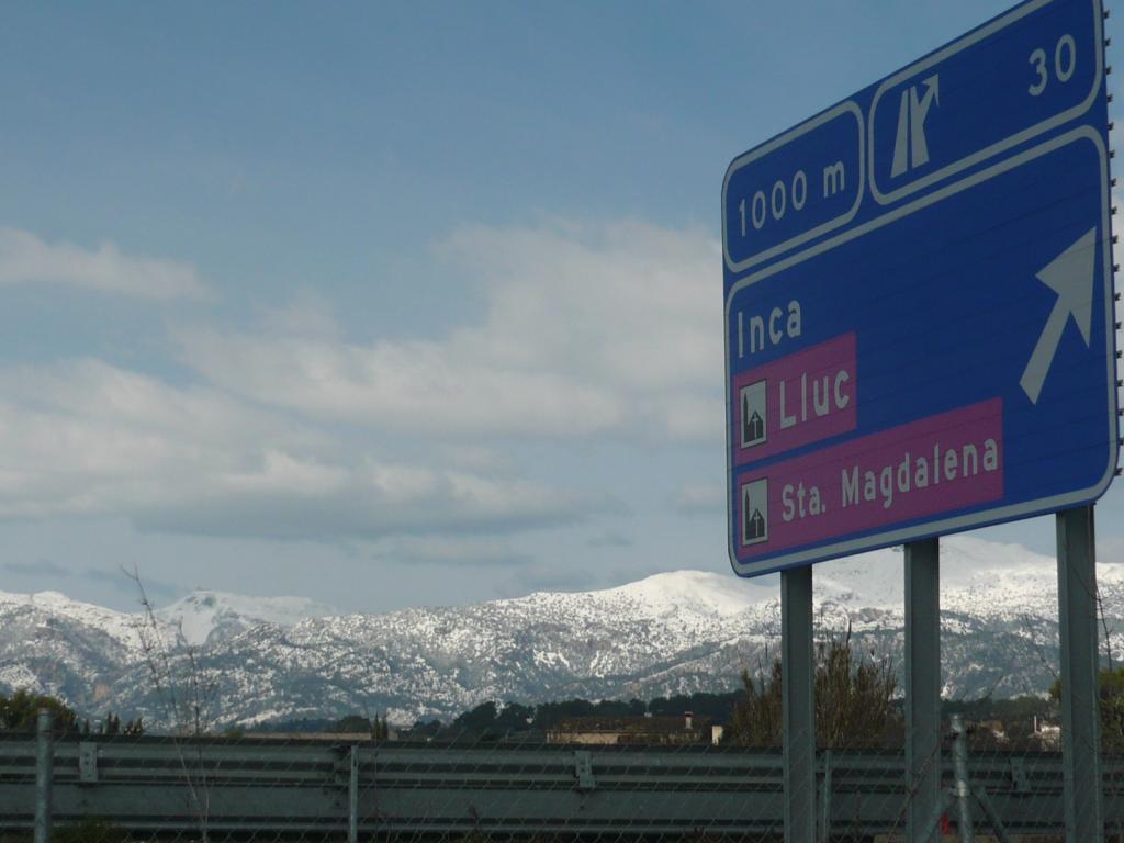 Nieve