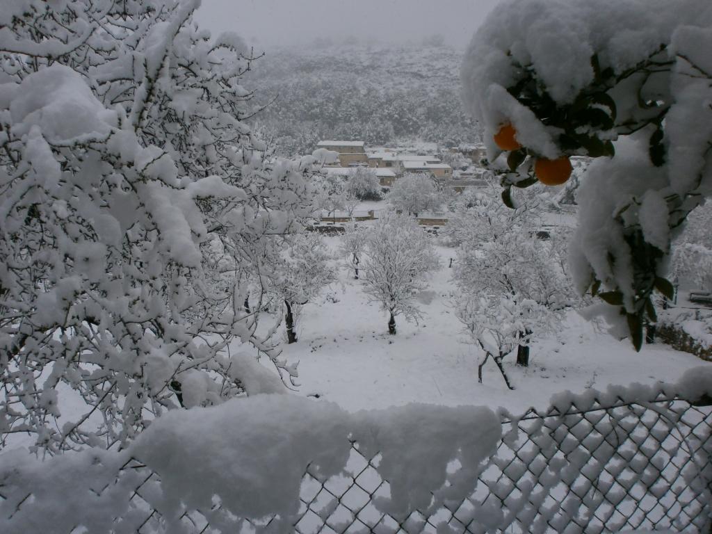 Nieve