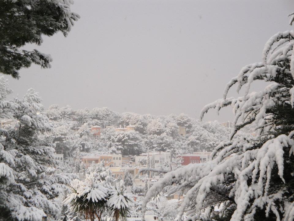 Nieve