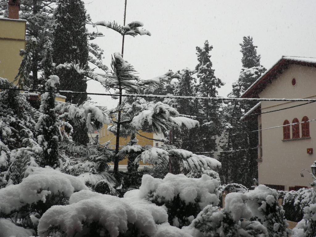 Nieve
