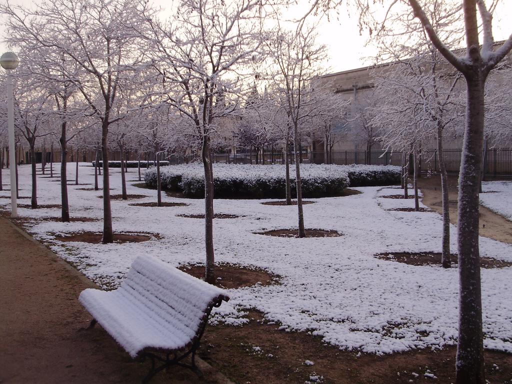 Nieve