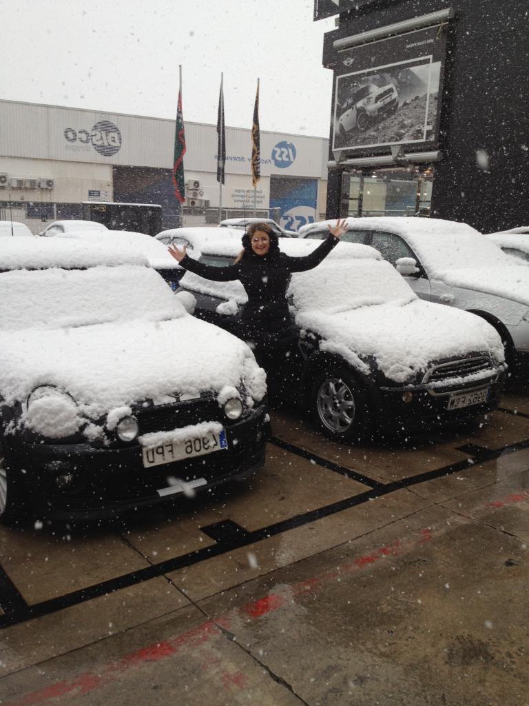 Nieve