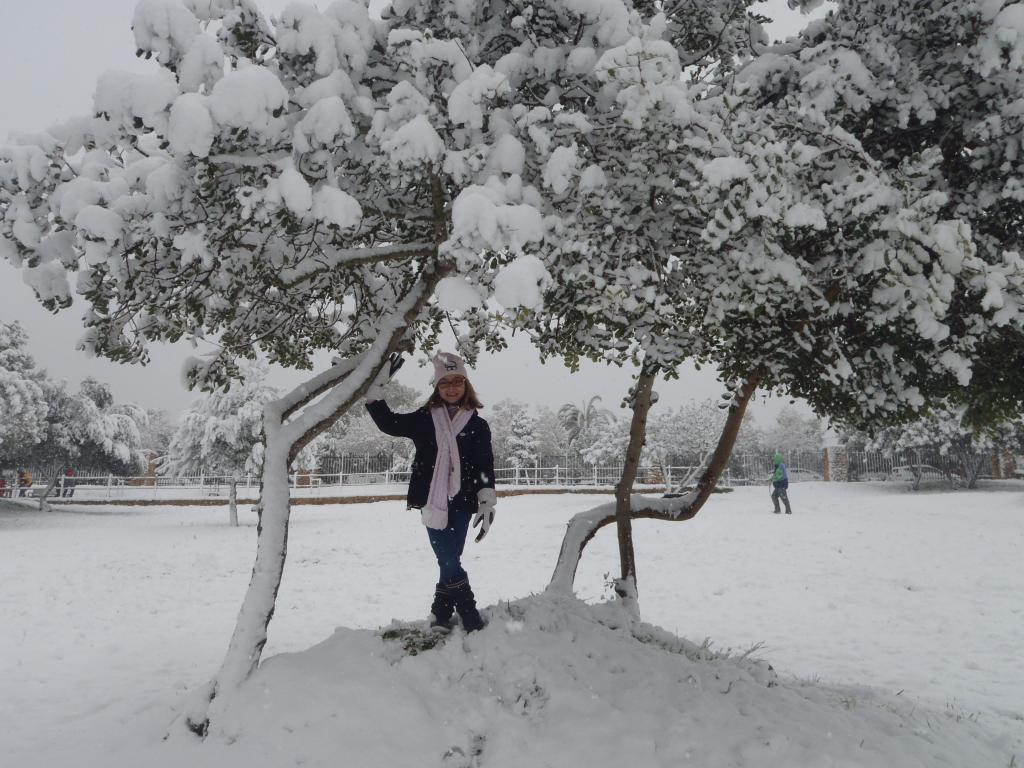 Nieve