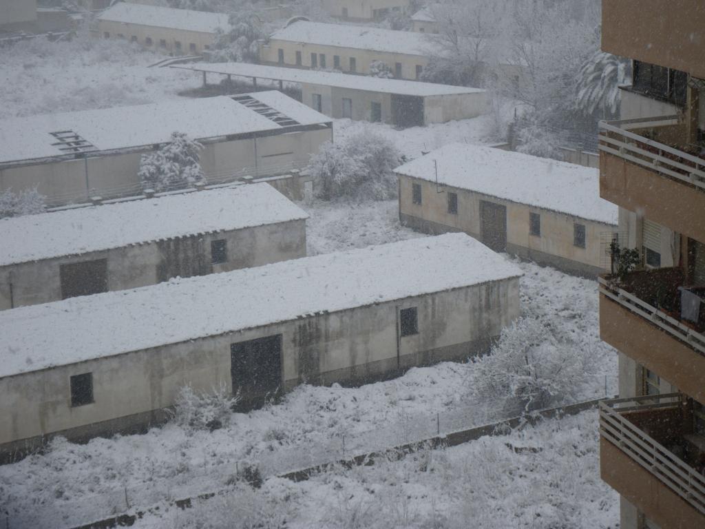 Nieve
