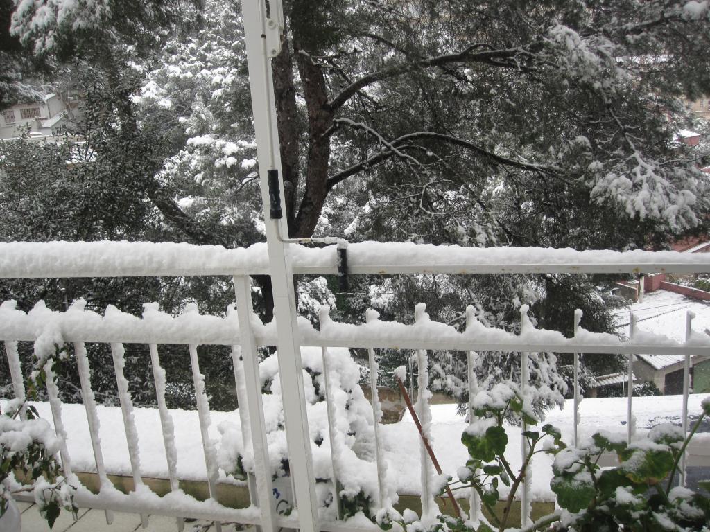 Nieve