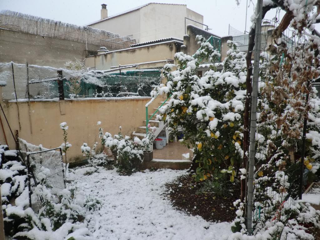 Nieve