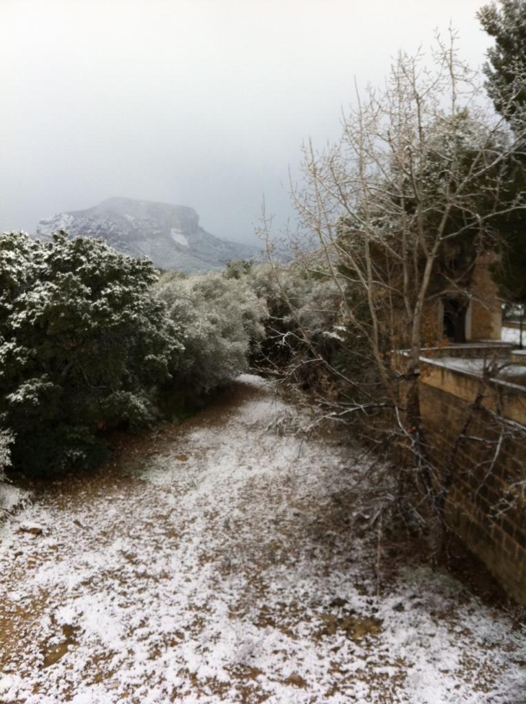 Nieve