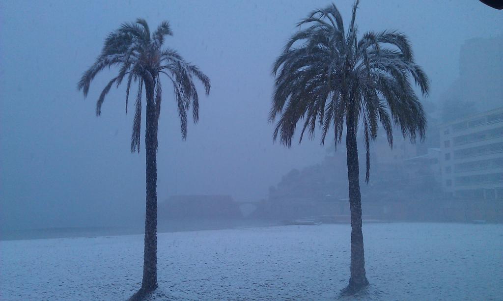 Nieve
