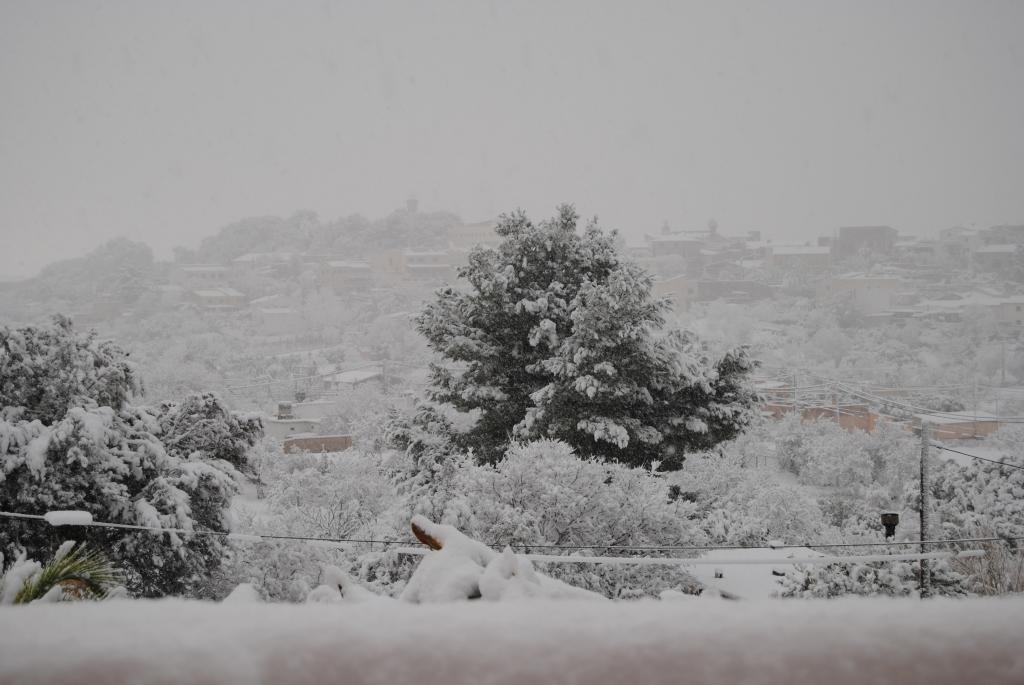 Nieve