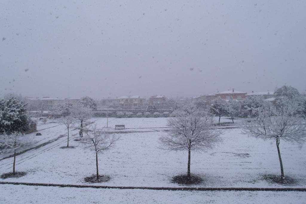 Nieve