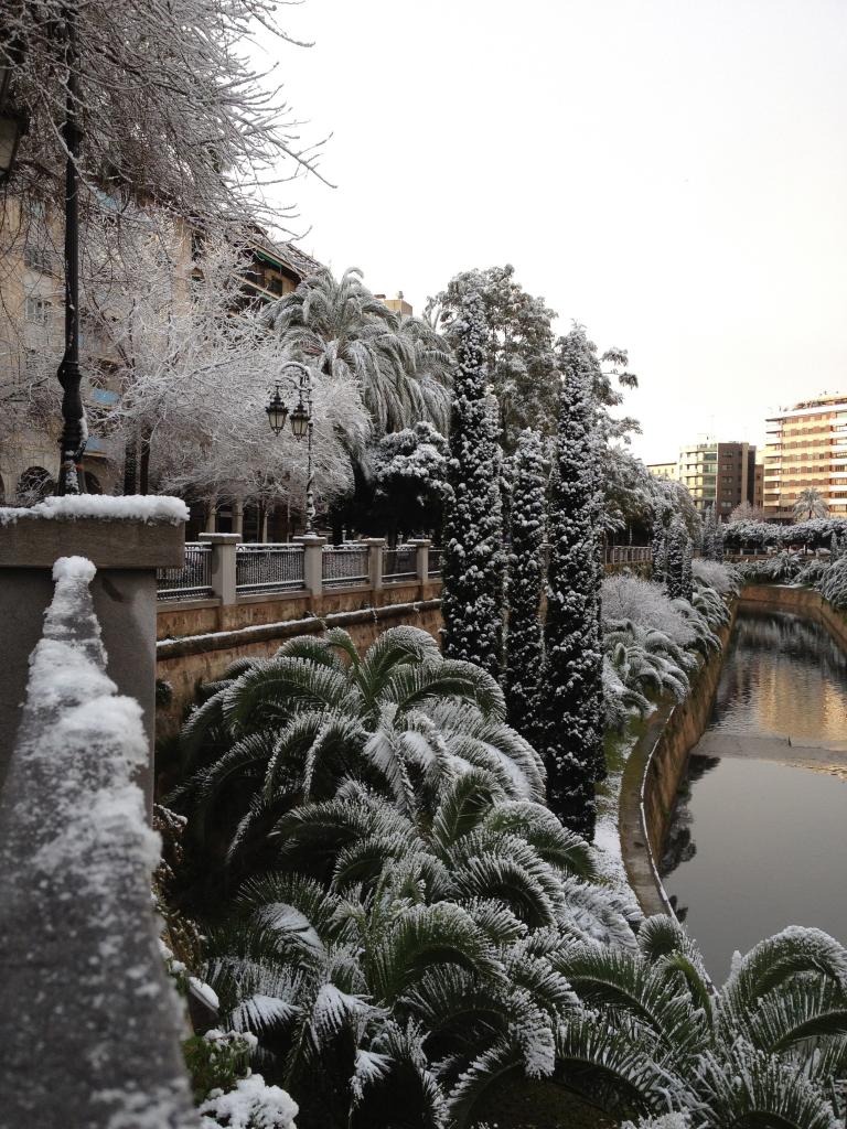 Nieve
