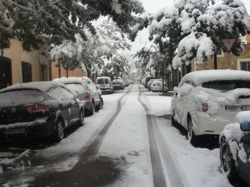 Nieve