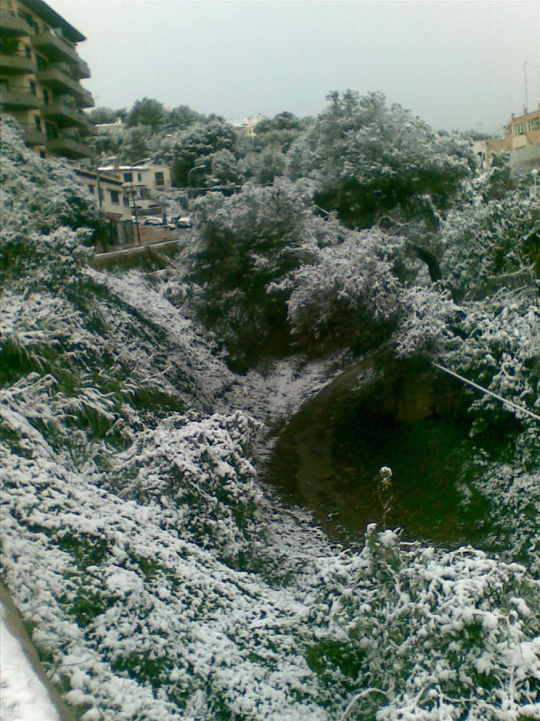 Nieve