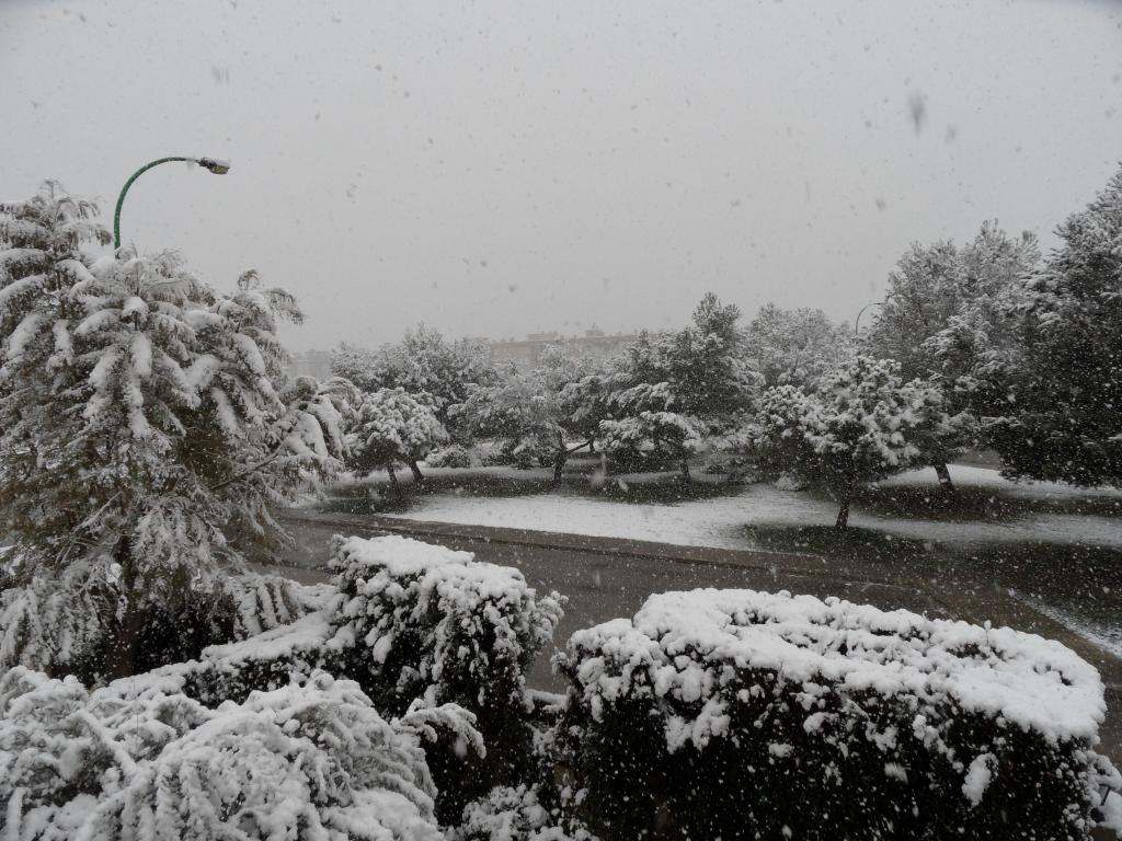 Nieve