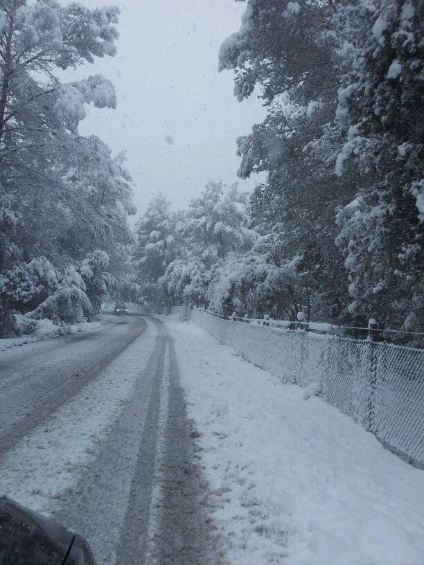 Nieve