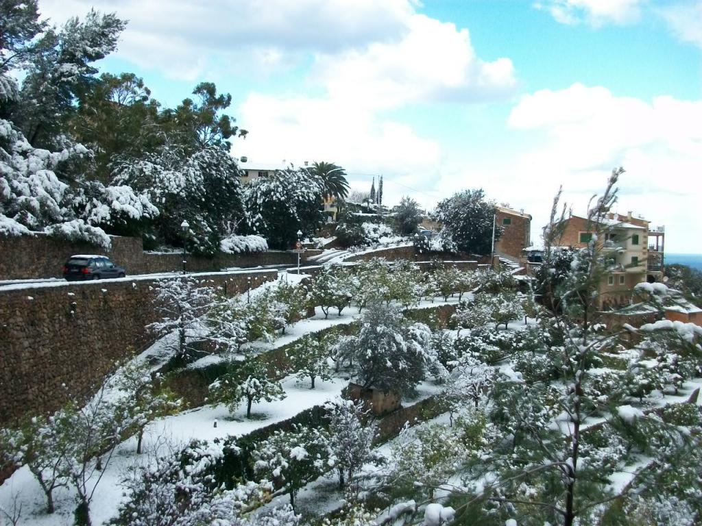 Nieve