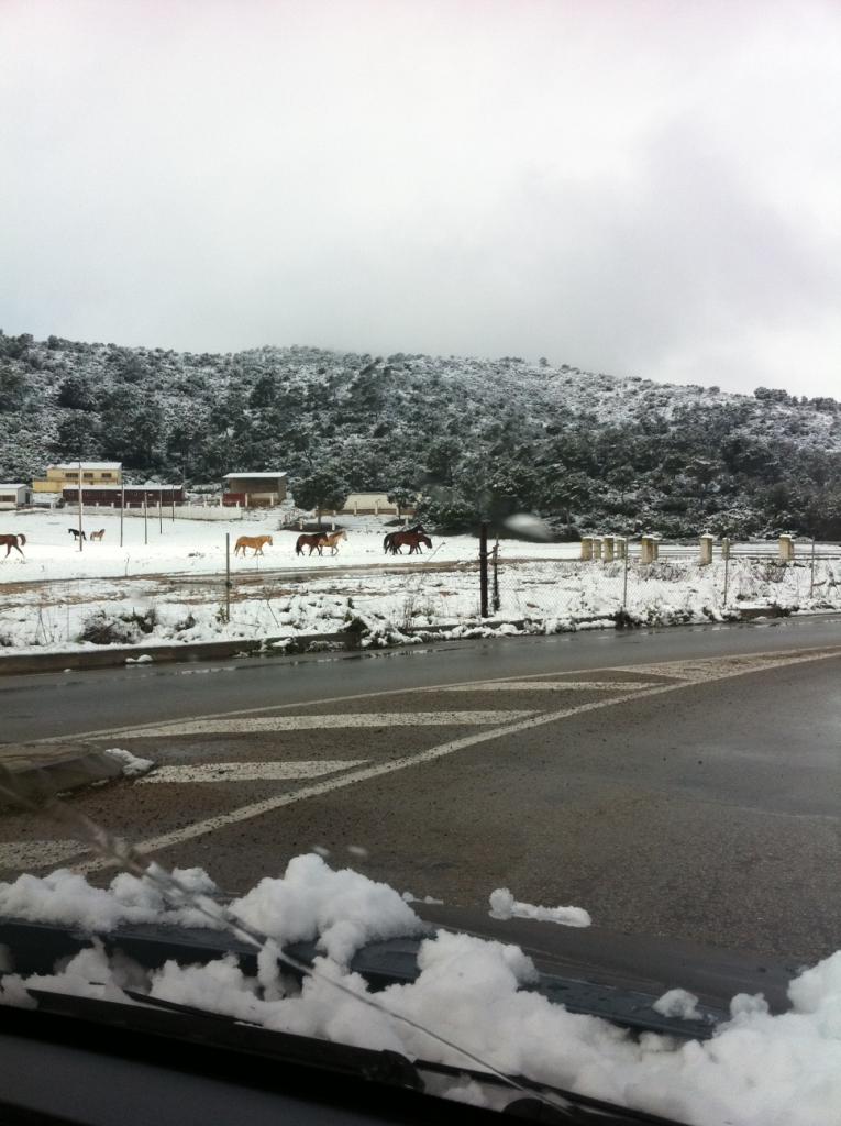 Nieve