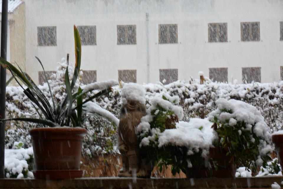 Ola de frío en Mallorca