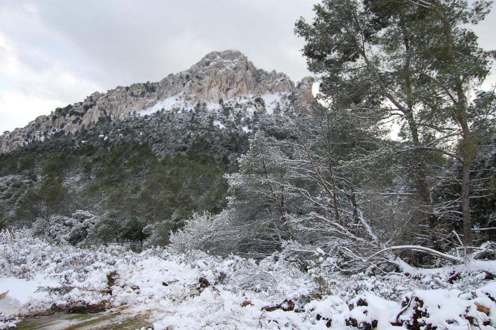 Ola de frío en Mallorca