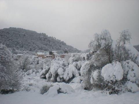 Ola de frío en Mallorca