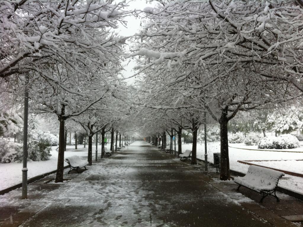 Nieve