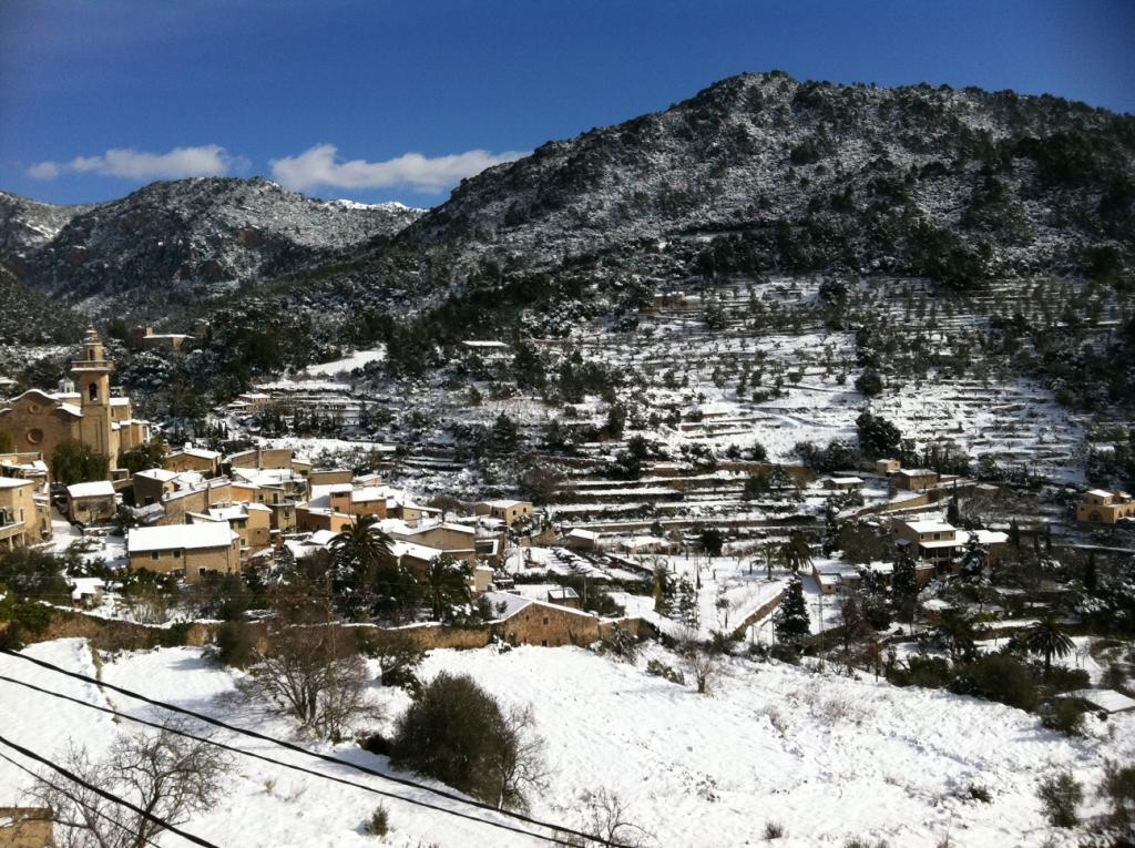 Nieve