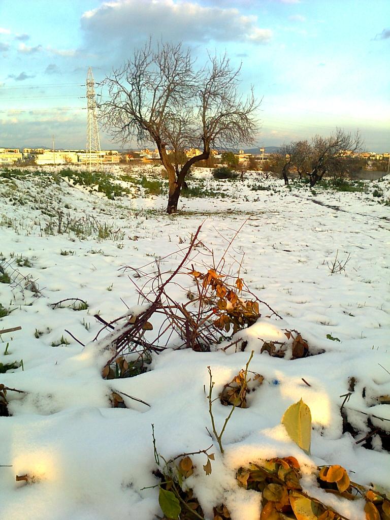 Nieve