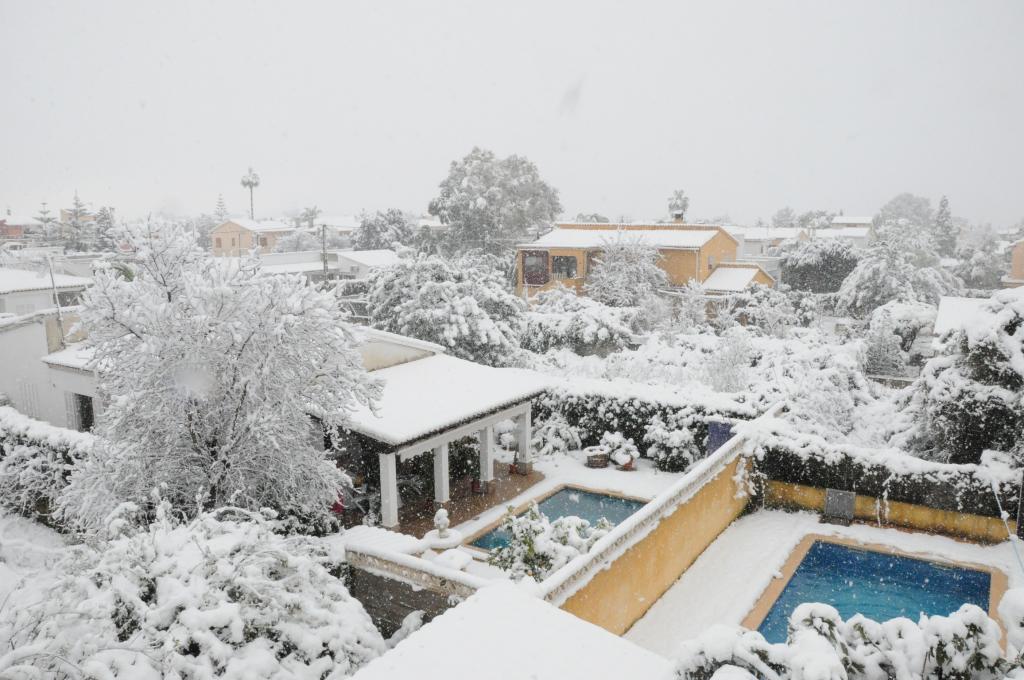 Nieve