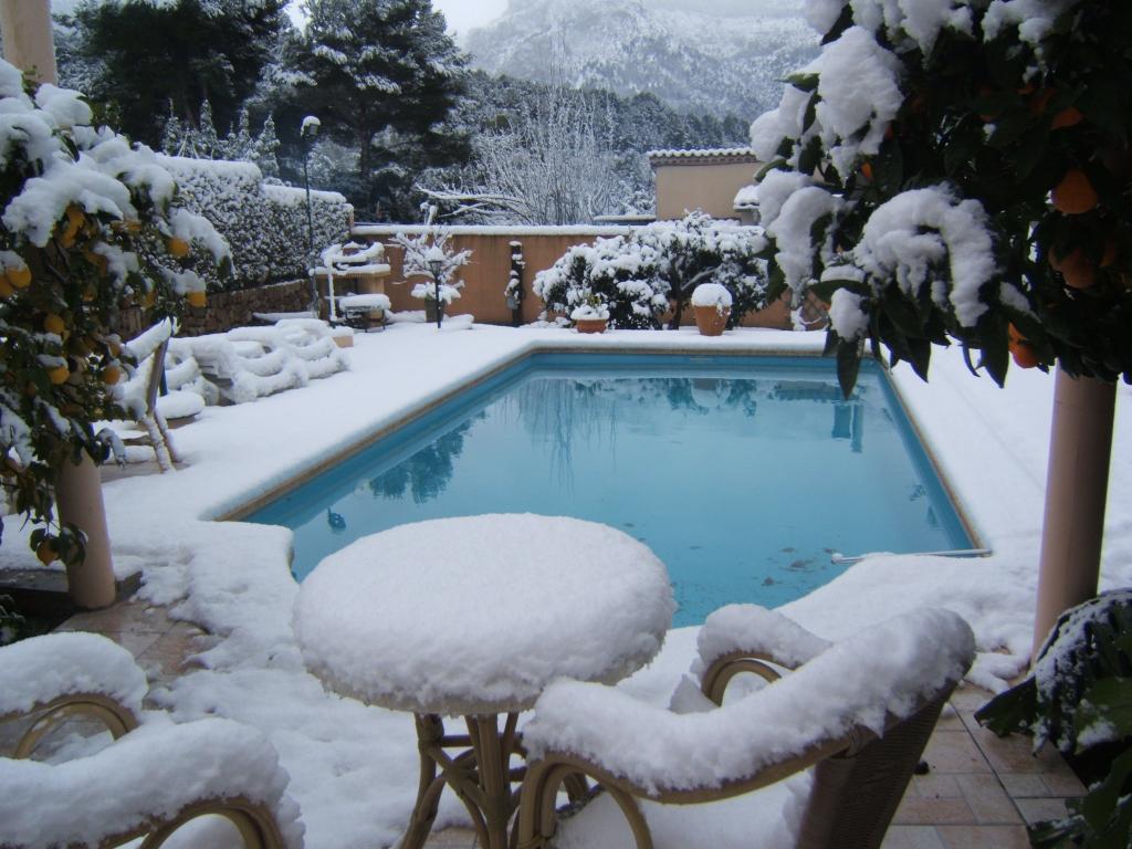 Nieve