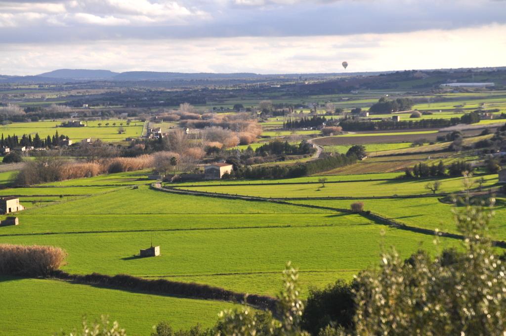 A vista de Pajaro