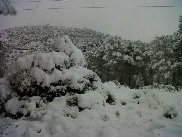 Blanco
