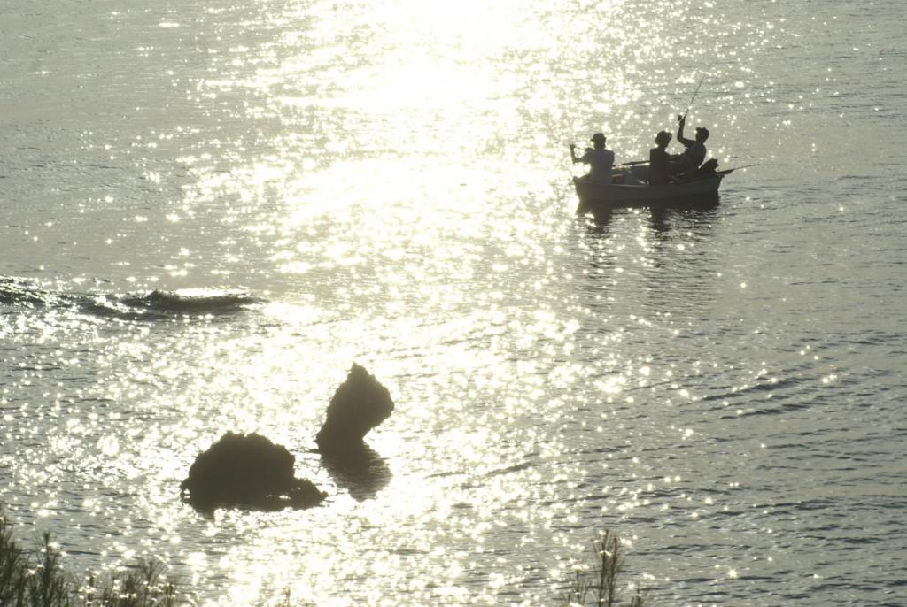 Pesca de matinada