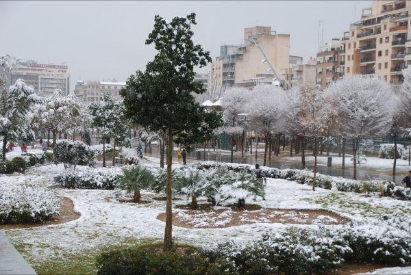 Nieve