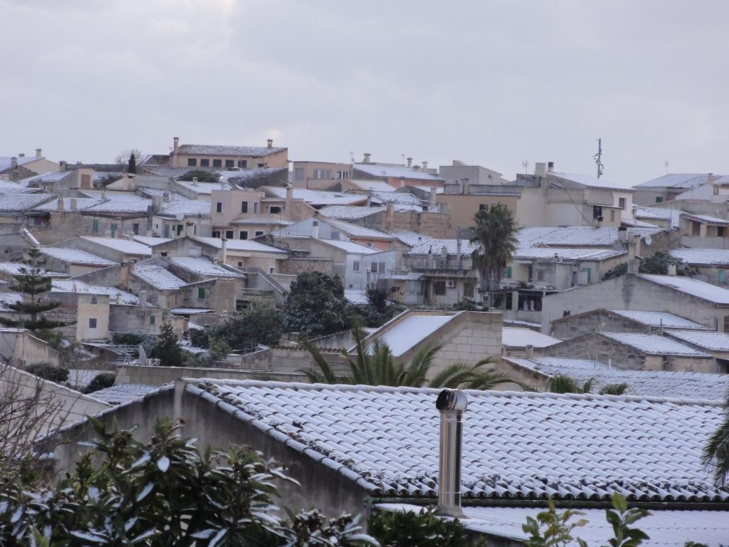 nieve