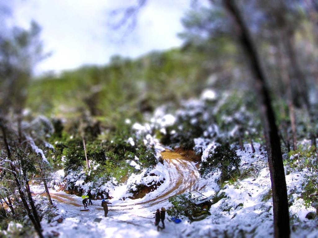 Nieve