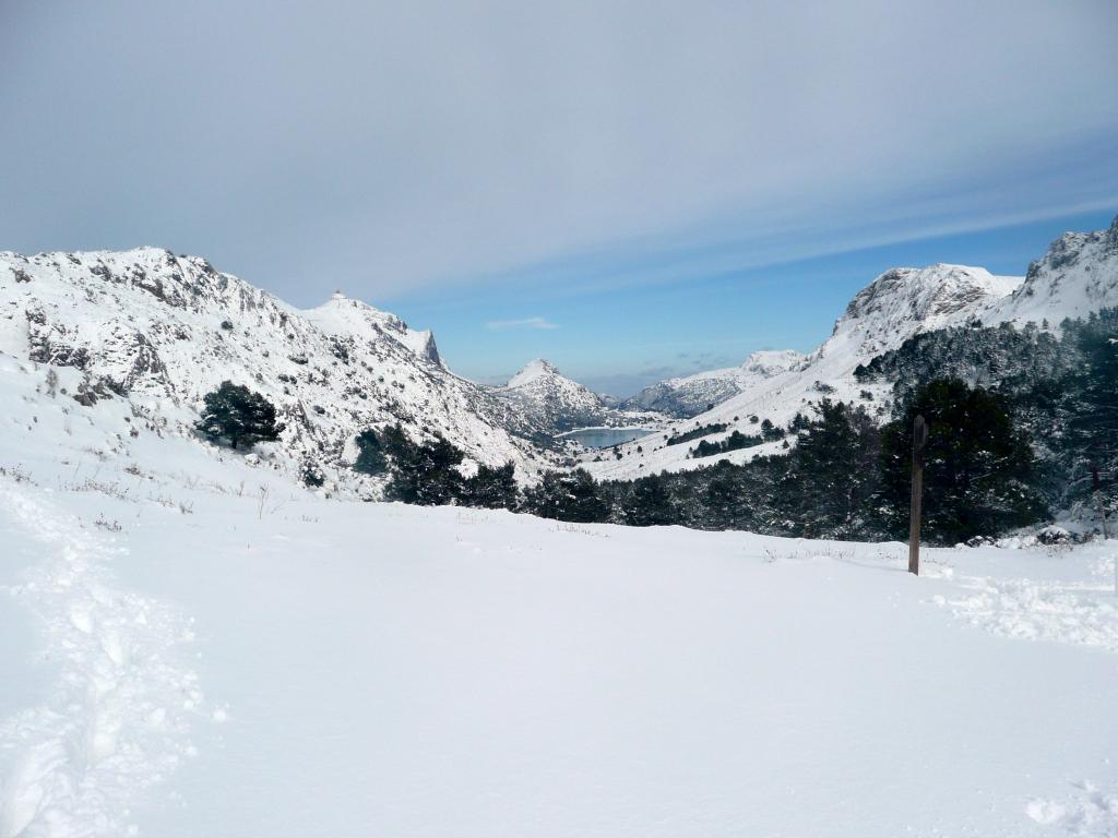 Nieve