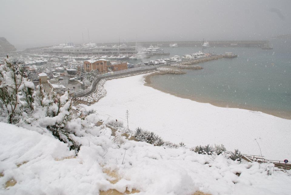 nieve