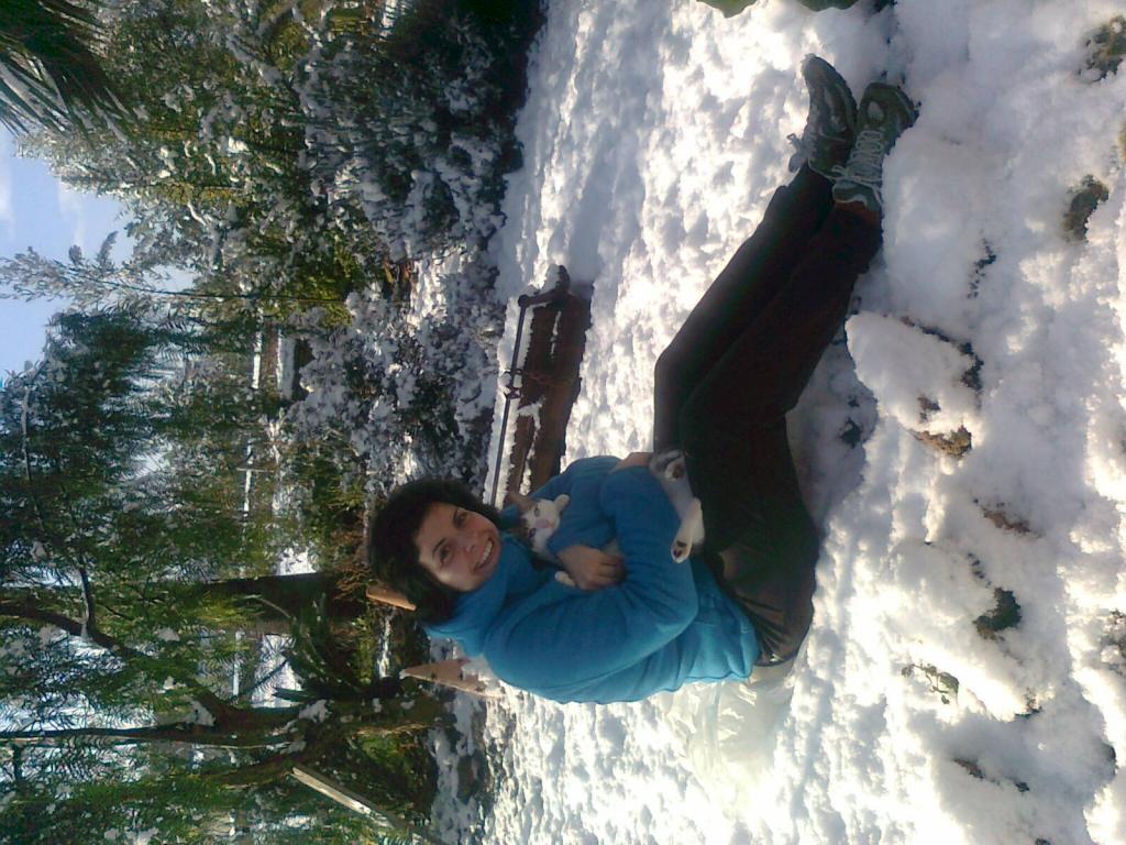 Nieve