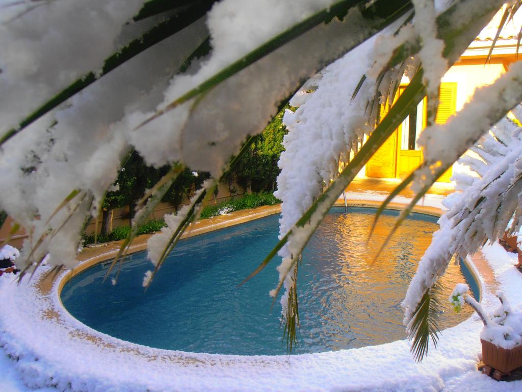 Nieve