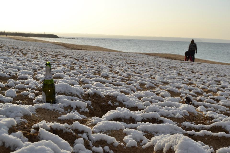 Brindis al sol