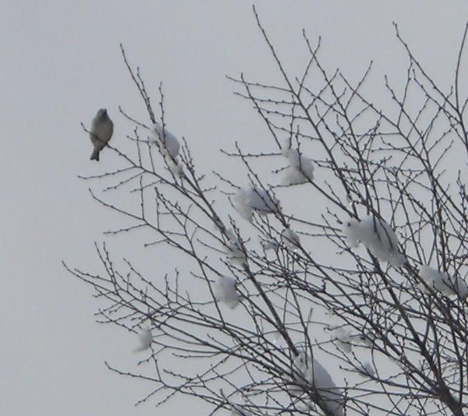 hace mas frio al volar
