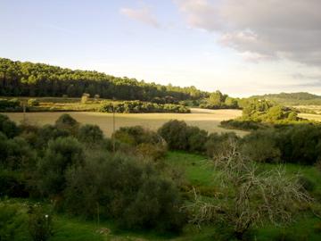 Montuiri Desconocida