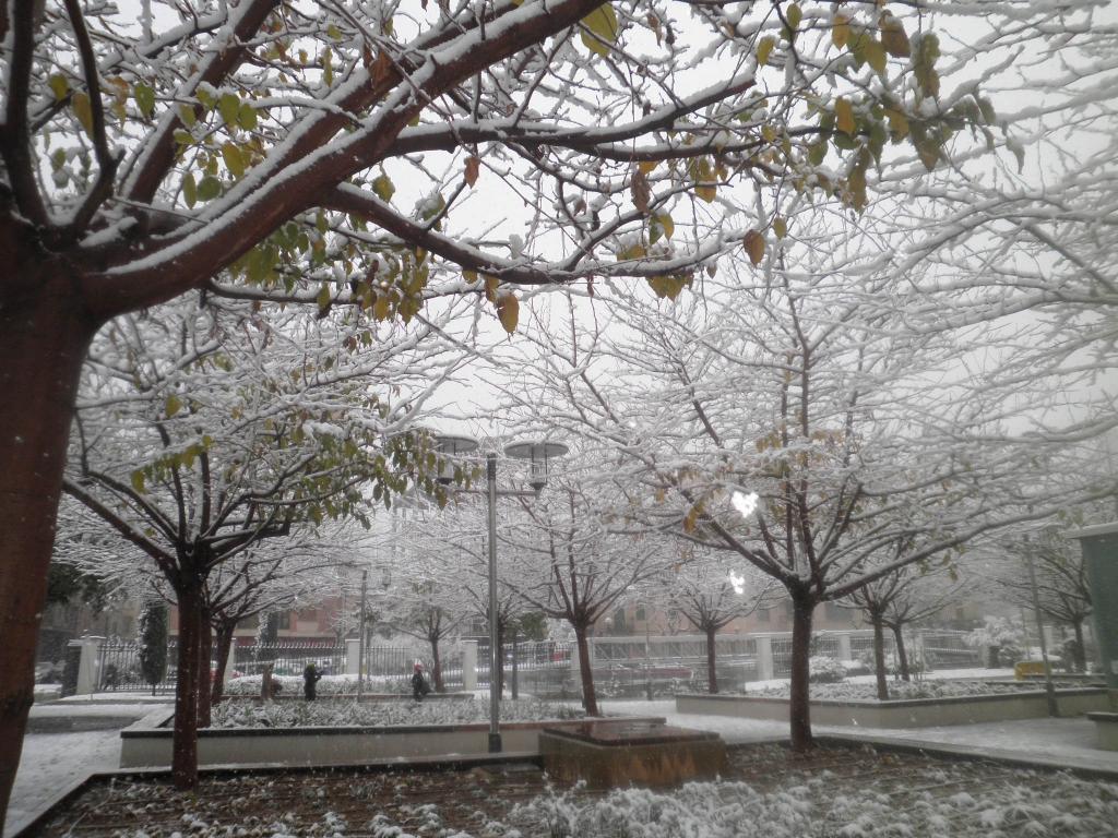Parc de Ses Estacions nevat