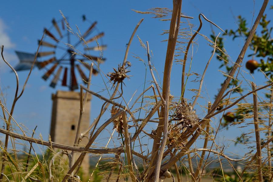 Mallorca: molinos y granadas