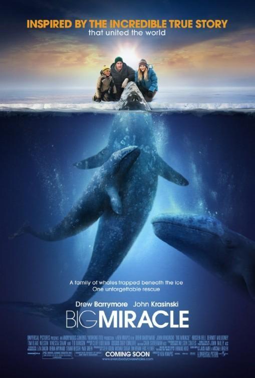 Ver detalle de la película