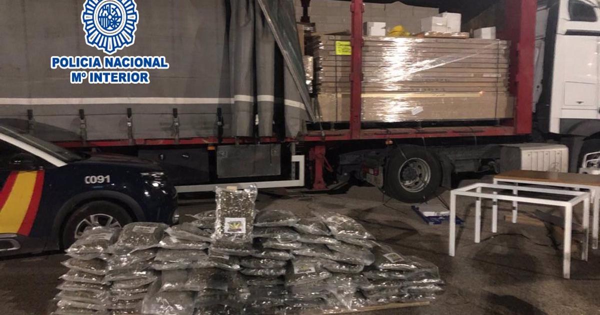 Na AP-7 aresztowano kierowcę ciężarówki z 86 kg konopi, które rzekomo przywiózł do Polski.