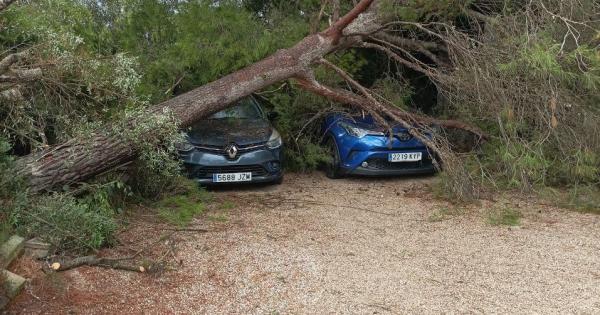 El tiempo en Mallorca Emergèncias atendió casi 100 incidencias