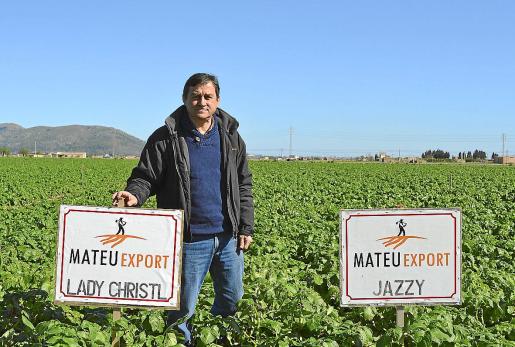 Joan Mateu, manager of Mateu Export
